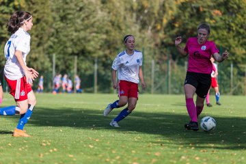 Bild 215 - wBJ HSV - SV Meppen : Ergebnis: 0:2
